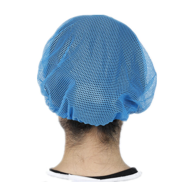 Person wearing blue mesh hairnet from behind.