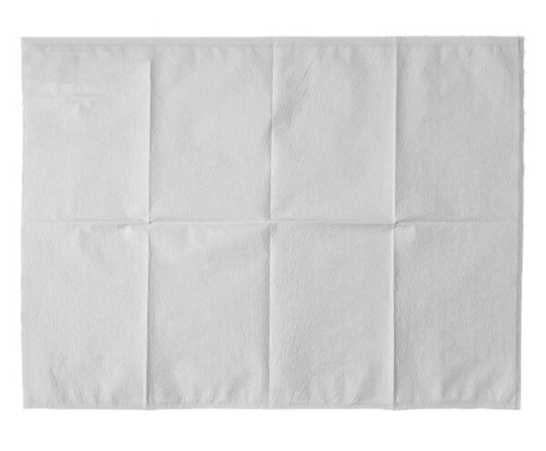 White absorbent disposable underpad sheet